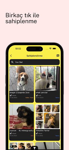 Petjoo Screen 3