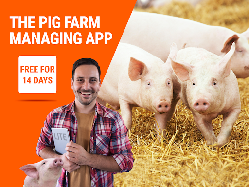 LIVESTOCKER Lite - Pig