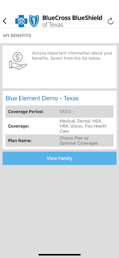 Blue Element TX Mobile Screen 3