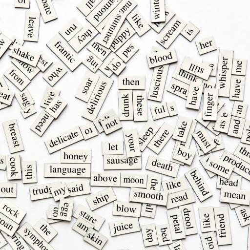 Word of the Day! logo