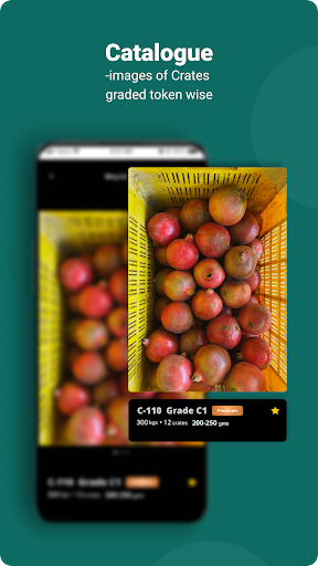 FruitX Screen 2