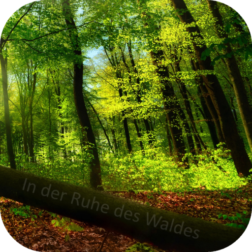 Fantasiereise - Ruhe im Wald 2.2 Icon
