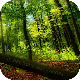 Icon image Fantasiereise - Ruhe im Wald