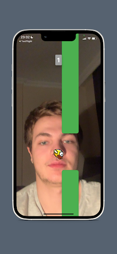 Bird Faced Screen 3