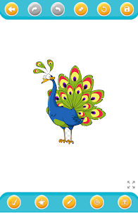 peacock coloring book