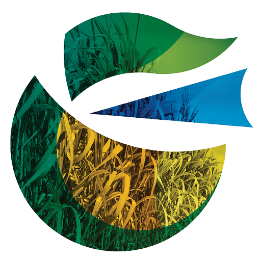 Logística - Colombo Agroindúst