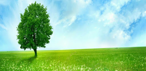 Diccionario Ambiental