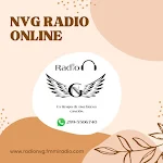 Cover Image of Download Radio NVG Online  APK