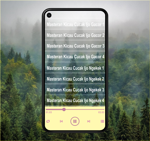 Android application Master Kicau Cucak Ijo Juara screenshort
