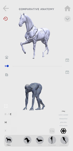 Anastomia: Human|Horse|Wolf Screen 3