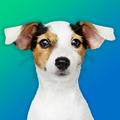 Dog Quiz: Guess the Breed — Ga logo