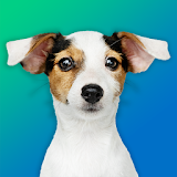Dog Quiz: Guess the Breed  -  Game, Pictures, Test icon