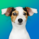 犬のクイズ：品種を推測—ゲーム、写真、テスト - Androidアプリ