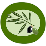 Bro Olive Green icon