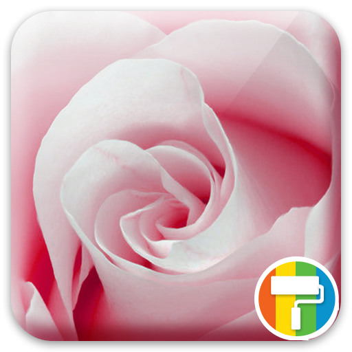 Rose ASUS ZenUI Theme  Icon