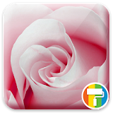 Rose ASUS ZenUI Theme icon