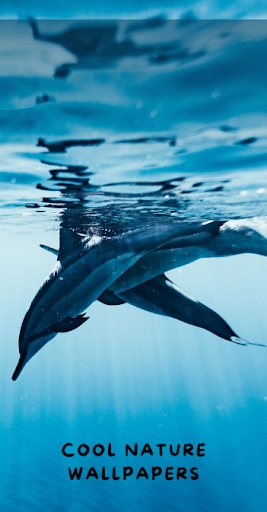 Cool Nature Wallpapers Screen 3