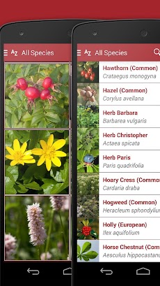 Wild Berries and Herbs 2 PROのおすすめ画像4