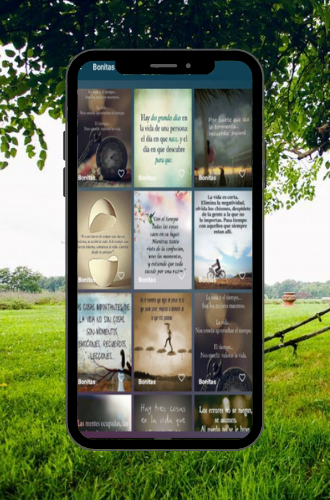 Frases de Reflexión Screen 3