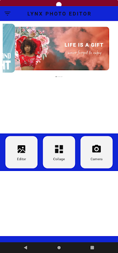 Lynx Photo Editor Screen 2