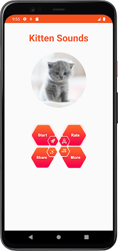 Kitten Sounds Screen 2