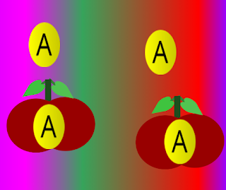 Apple Point - Screenshot 2