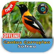 Top 14 Music & Audio Apps Like Cantos Corrupiao Sofreu - Best Alternatives