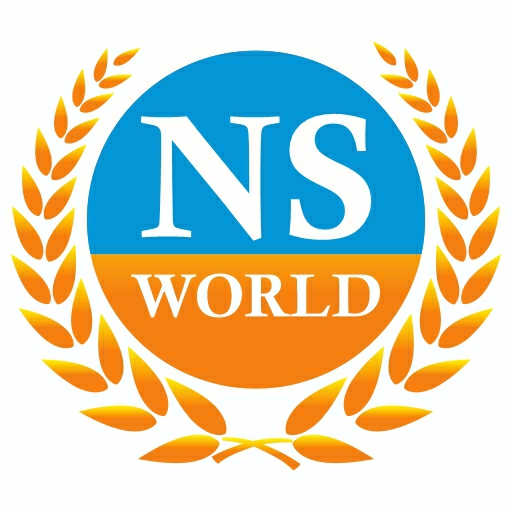 NS world logo