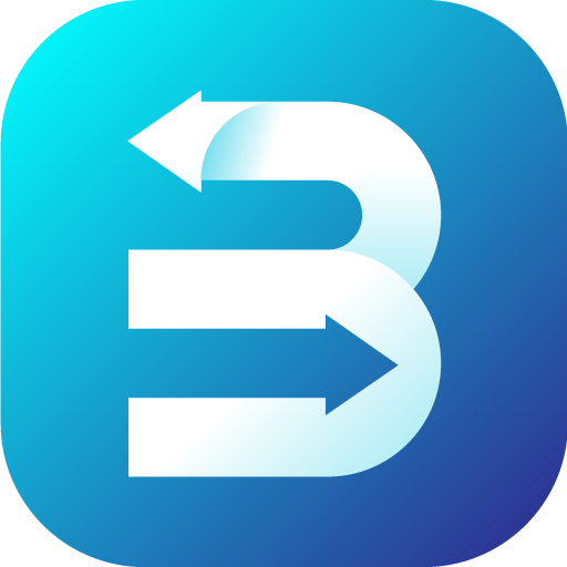 BizBiz Money logo