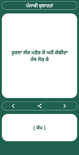 Punjabi Bujartan - Puzzles