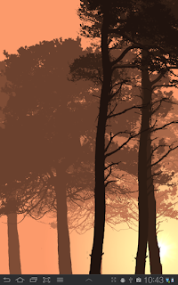 Misty Forest screenshot 1