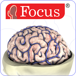 Icon image NEUROANATOMY - Digital Atlas