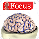NEUROANATOMY - Digital Atlas