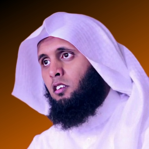 Sheikh Mansour Salimi Offline logo