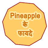 Pineapple ke fayde icon