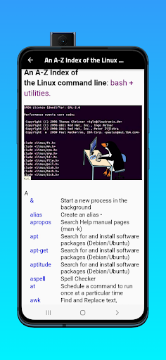 Learn Linux Commands-Beginners