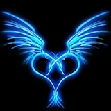 3D Wings icon