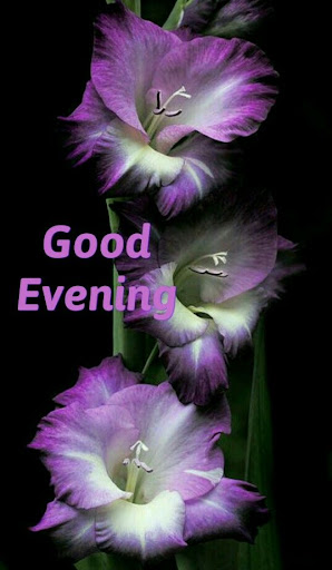 Good Evening Images 2024 Screen 3