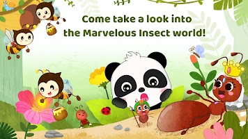 Little Panda's Insect World