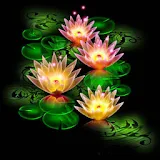 3D Lotus light icon