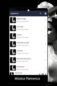 Música Flamenca App Canciones