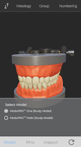 ToothView™