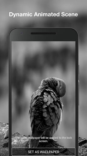 Real Bird Live Wallpaper Screen 2