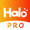 Download Halo Pro - live chat online