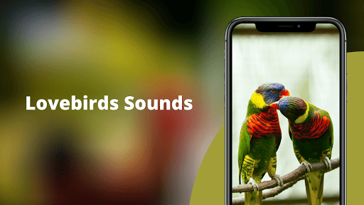 Android application Lovebird Sounds screenshort