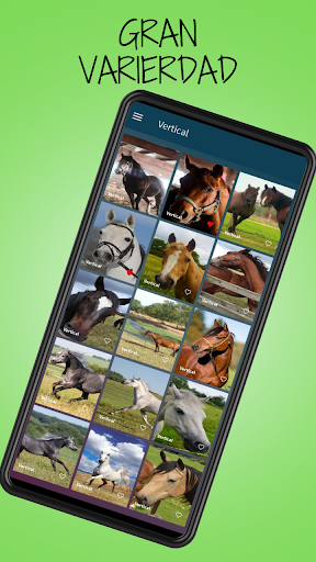 Imagenes de caballos Screen 3