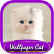 400 Wallpaper Cat Cute HD - Androidアプリ