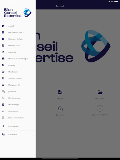 Bilan Conseil Expertise