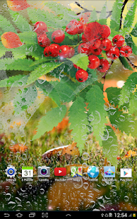 Autumn Live Wallpaper Screenshot