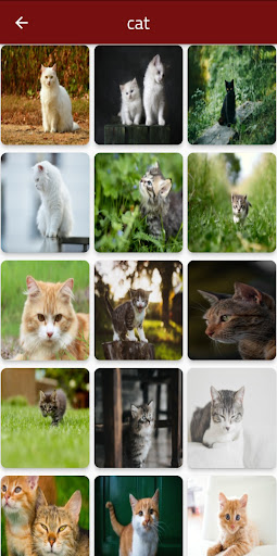 Android application Snappix screenshort